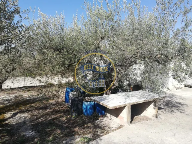 TERRENO AGRICOLA EN ONTINYENT — 4