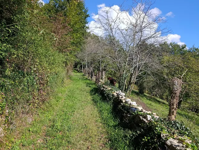 Terreno urbano en venta - Trubia — 47