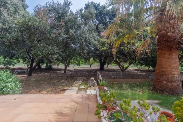Villa 5 habitaciones 370m² en venta - El Palmar-Los Molinos — 36