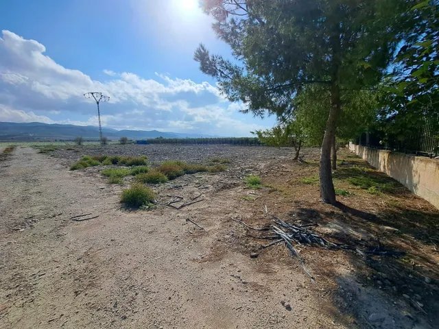 FINCA RURAL CON 4 VIVIENDAS Y NAVE — 50