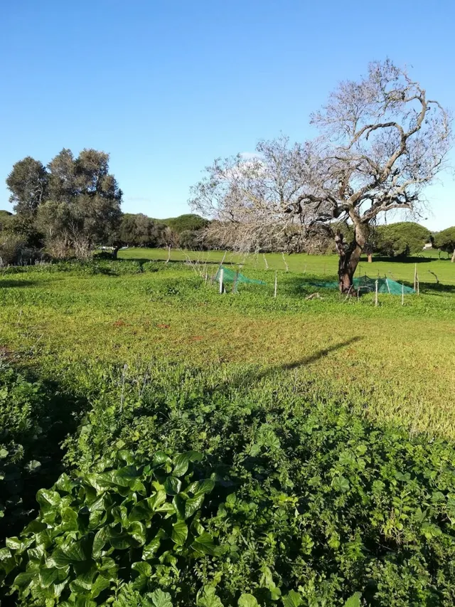 Casa de campo entorno rústico — 16