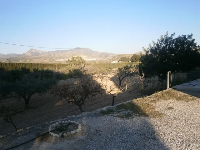 CASA DE CAMPO EN MONOVAR - foto 3