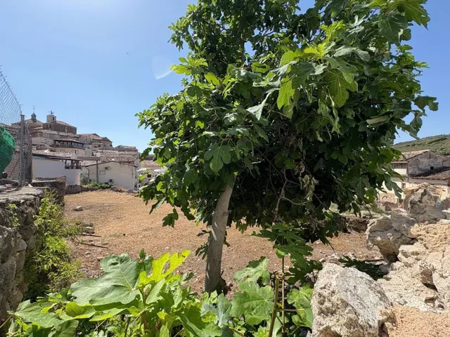Solar urbano en Pastrana — 2