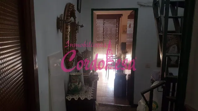 CASA INDEPENDIENTE A 5 MINUTOS DEL AYUNTAMIENTO!!! — 15
