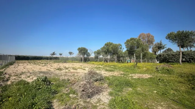 Terreno rural 10m² en alquiler - San Nicasio - foto 4