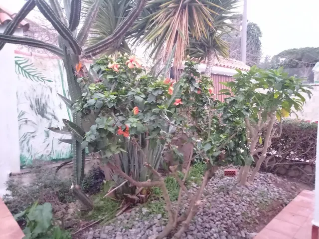 VENTA DE CHALET SEGREGADO EN LA DEHESILLA — 4