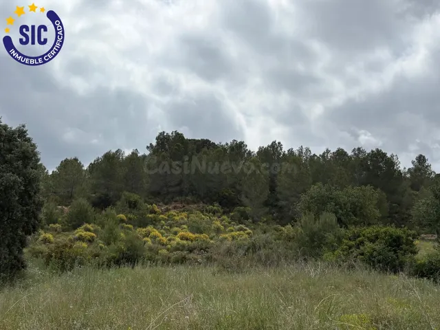 SE VENDE TERRENO RÚSTICO 6200M2 EN MONTROY - foto 4