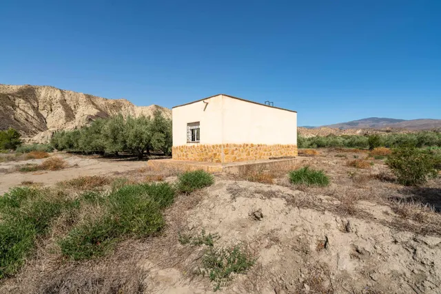 Terreno con Cortijo en Alsodux — 26