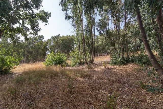 Parcela en venta - Costa del Sol — 10