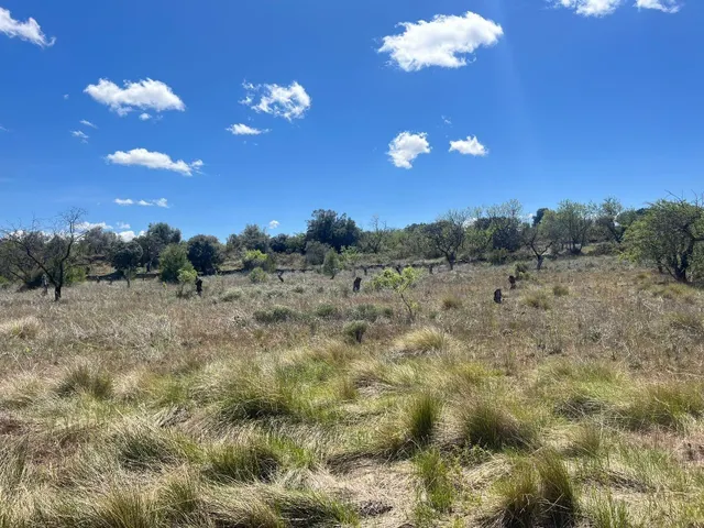 Finca rústica en venta - Aréns de Lledo - foto 3