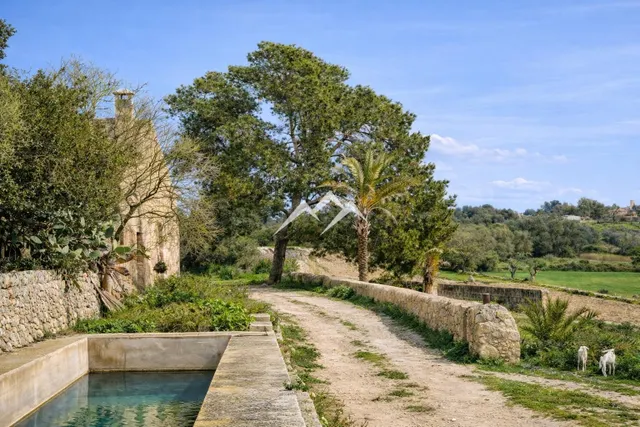Gran Finca Rústica de 192.000 m2 en Ariany - foto 3