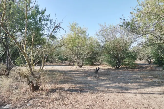 Casa de campo 168m² en venta - La Jara - foto 2