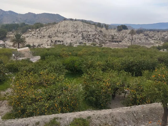 ¡Descubra una oportunidad única en el corazón del Valle de Ricote! — 2