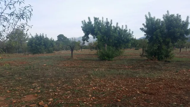 Parcela en bunyola con proyecto de construcción — 5