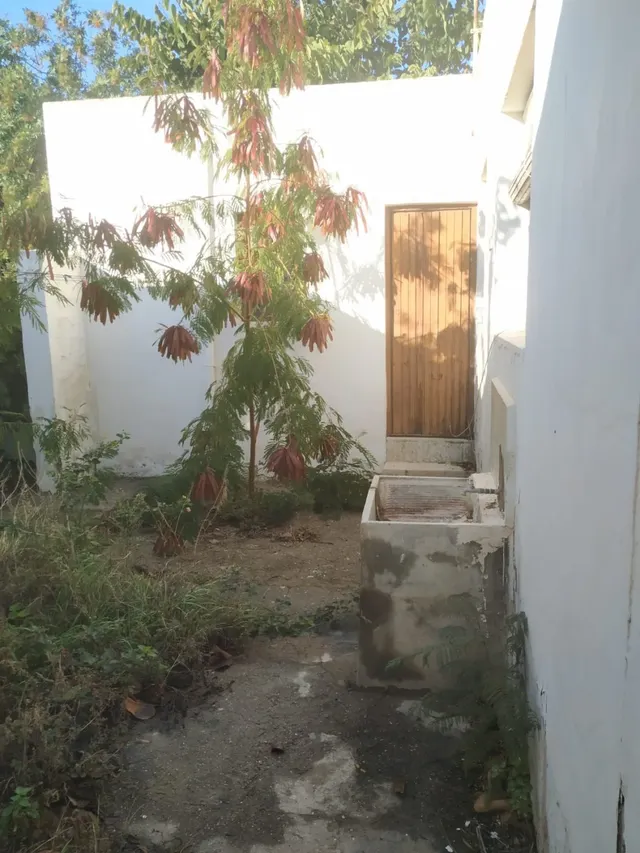 MAGNIFICA CASA EN PLANTA BAJA — 12