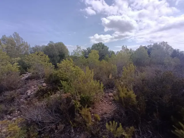 Finca Rústica en l'Ametlla de Mar: a Pocos Minutos del Mar — 10