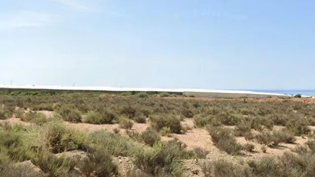 VENTA TERRENO EN PARAJE DEL CERRO GORDO AUTOVIA E-15 KM 455 VIATOR VENT — 2