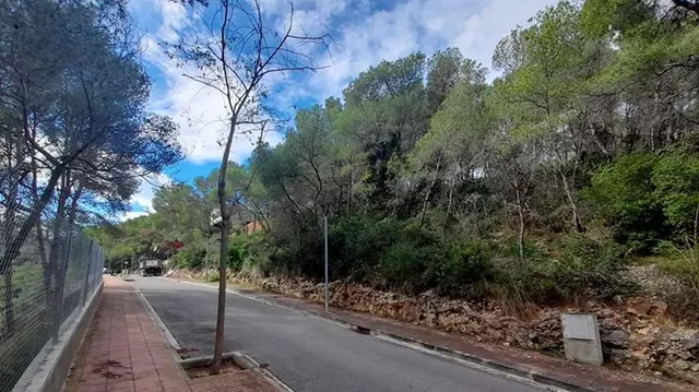 Parcela urbana consolidada en Mas Alba, Sant Pere de Ribes — 6