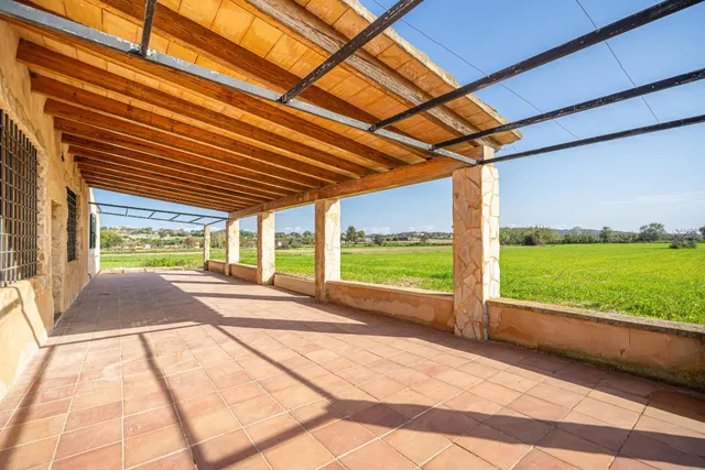 FINCA EN MONTUIRI CON VISTAS DESPEJADAS Y TERRENO LLANO CERCA DE LA CARRETERA PRINCIPAL — 24