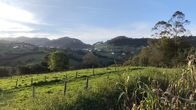 Casa reformada con terraza, finca de 750 m2 y cuadra, con vistas al Aramo — Morcín — 15