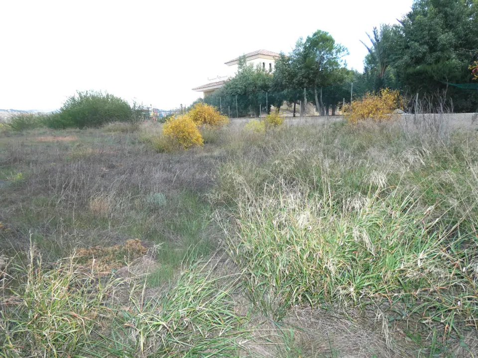 +NO ES SOLO UN TERRENO. ES UN CAMBIO DE VIDA. EN LA LOMA TORRES DE COTILLAS+