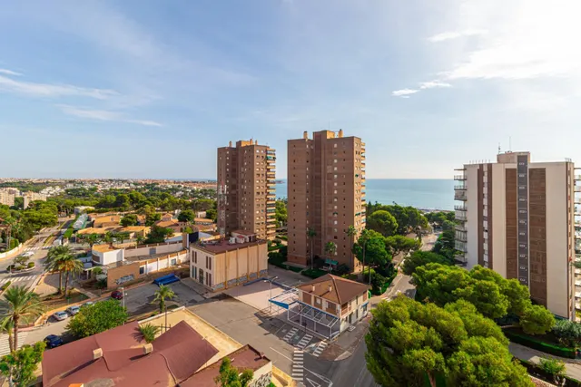 Apartamento 1 habitación 42m² en venta - Campoamor — 9