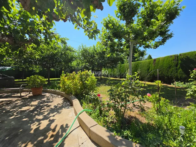 GRAN FINCA CON XALET, NAVE Y AMPLIA PARCELA – MÚLTIPLES POSI - foto 3