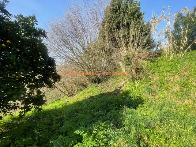 REF 4211 CASA CON JARDÍN IDEAL FIN DE SEMANA TAMEIGA ( MOS ) — 25
