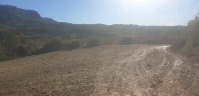 TERRENO OPTIMO PARA CAMPING — 13