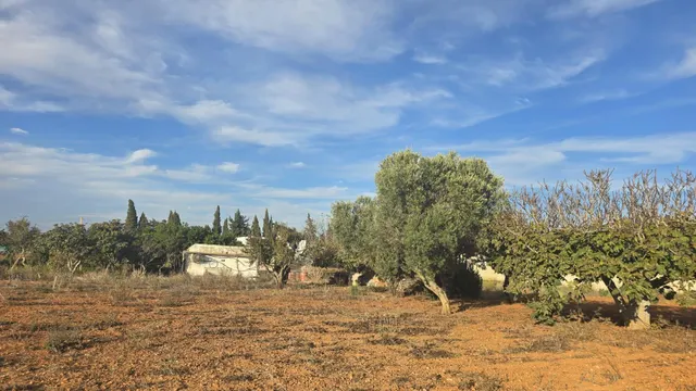 PARCELA -SEGREGADA CON REFUGIO EN ZONA PINAR DE LOS FRANCESES — 14