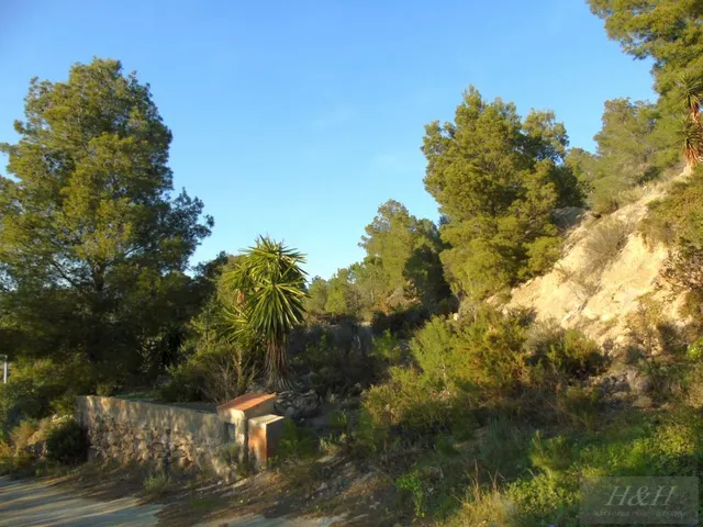 Se vende terreno urbanizable en Olocau. /H H Asesores, Inmobiliaria en Burjassot/ — 2