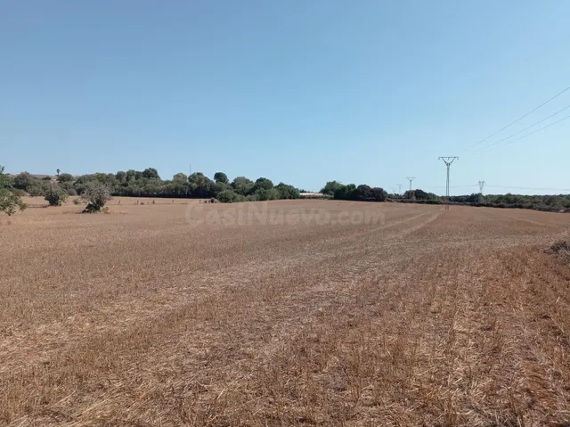 FINCA RÚSTICA CON LICENCIA EN TRÁMITE - foto 3
