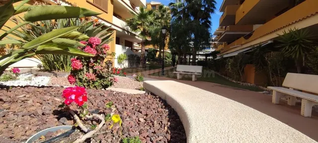 Apartamento 2 habitaciones 75m² en venta - Punta Prima — 23