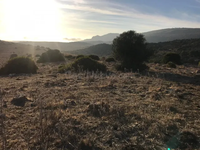 Se vende parcela en Bolonia - foto 4