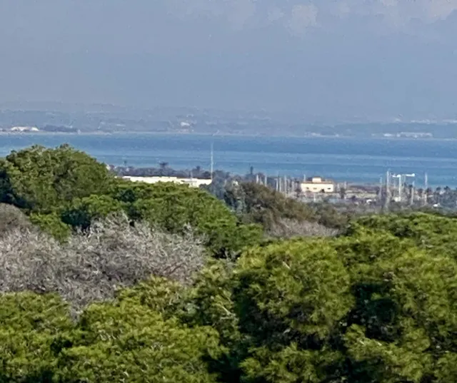 Apartamentos de lujo de nueva construcción cerca de la playa en Guardamar del Segura — 18
