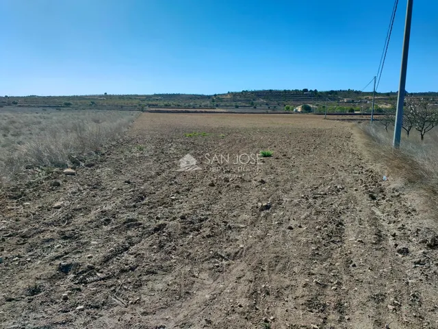 SE VENDE PARCELA EN BARBARROJA CERCA DEL PUEBLO — 4