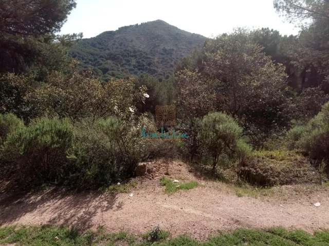 PARCELA URBANIZACIÓN JARAS - foto 5