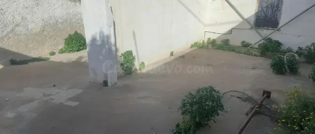 Oportunidad solar para Edificar en la Hoya - foto 5