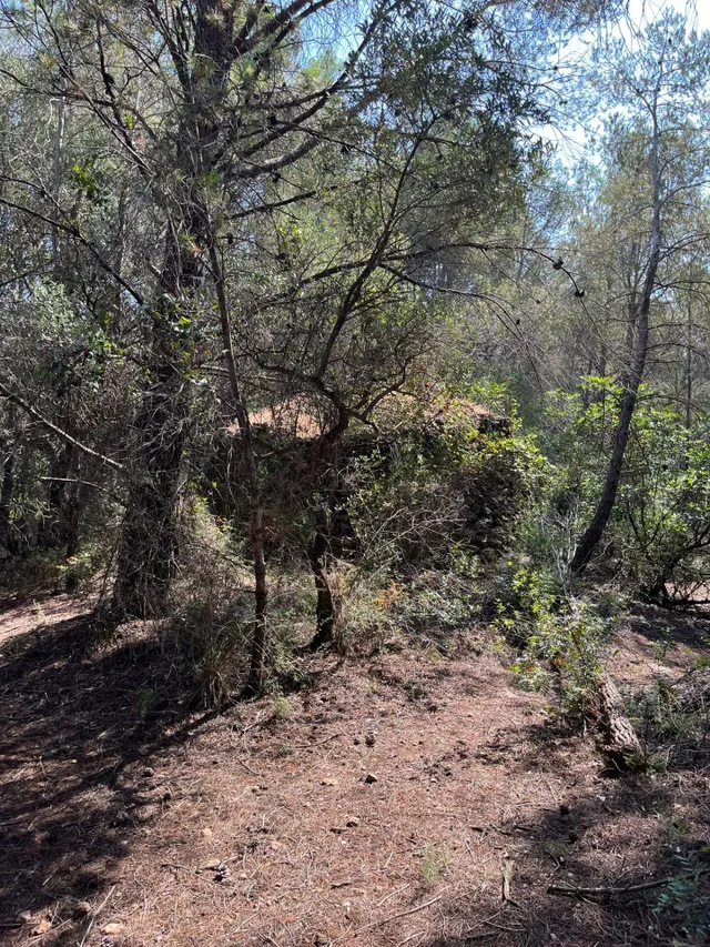 Terreno agrario en Mont-roig del camp, con barraca y pozo — 6