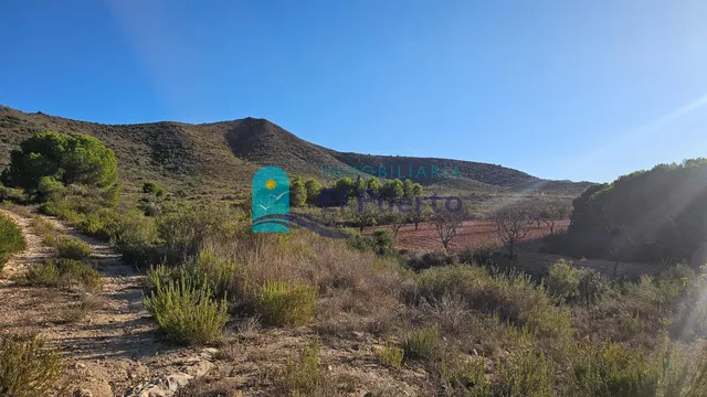 GRAN TERRENO JUNTO A LOS ALTOS DE LAS PALAS – REF. 2112 — 11