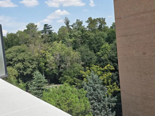 Amplio piso de 157 m2 con terraza, garaje y vistas al Retiro en Jerónimos — 2