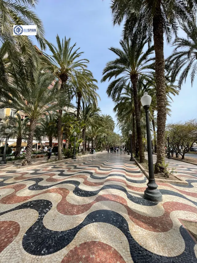 Espectacular vivvienda a estrenar en pleno corazón de Alicante - explanada de españa — 15