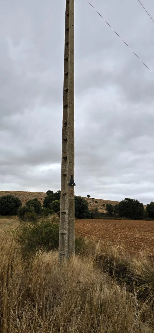 Parcela rústica de secano a pie de carretera entre Garray y  - foto 4