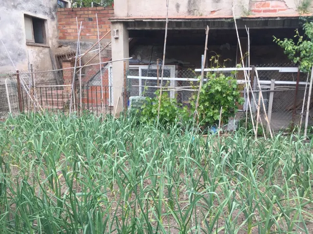 CASA PARA REFORMAR CENTRO PUEBLO — 23