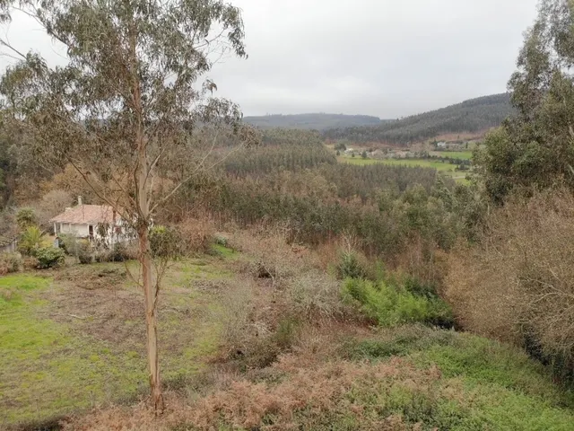 Finca Urbana en OzaCesuras — 32