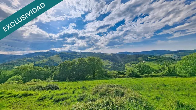 Más de una hectárea de Asturias, una cabaña de piedra y todo el valle por delante. — 16
