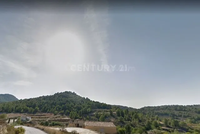 Terreno rural en venta - Fortuna - foto 4