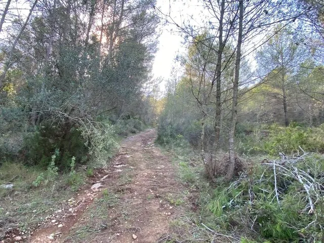 OPORTUNIDAD ENORME TERRENO EN VENTA POR 150.000€ — 5