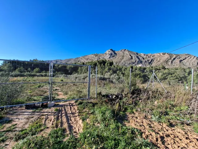 Parcela rústica de 10.400 m2 ubicada en Benigembla — 8