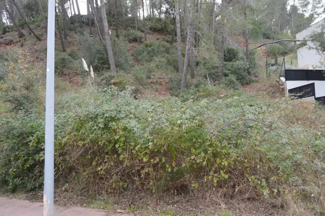 PARCELA EN VENTA EN EL MEJOR SITIO DE CORBERA DE LLOBREGAT (BARCELONA) — 12